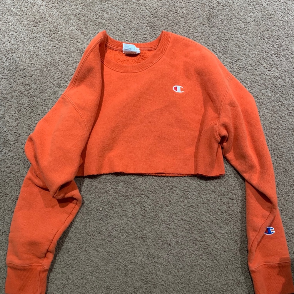 Clothes - Picture 8 of 16